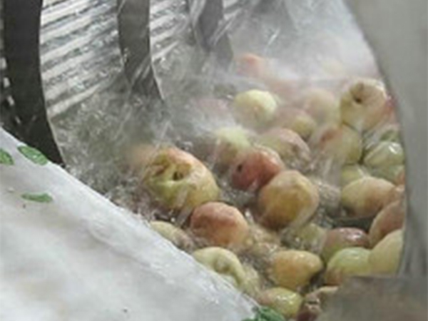 高壓氣泡清洗機(玉米類、果蔬類）